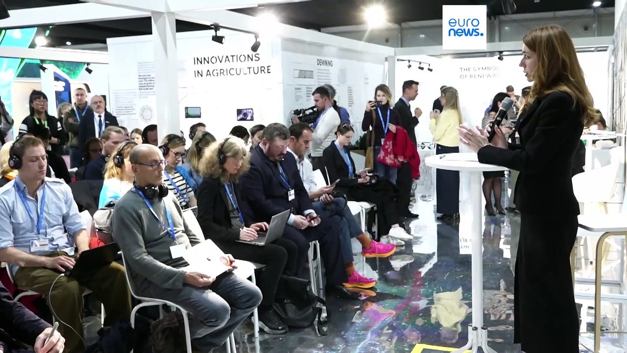 COP29: Ukraine strebt trotz Russlands Angriffskrieg eine grünere Zukunft an