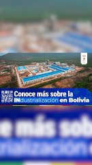 ATB Informa Voluntariado Los Chuñitos ayudan a perritos en situación de calle (3 NOV)