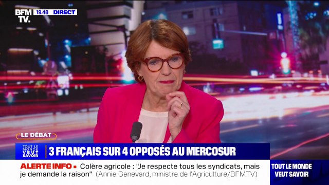 Pour la ministre de l'Agriculture Annie Genevard, l'accord avec le Mercosur est mauvais pour l'agriculture française et pour la santé des Français