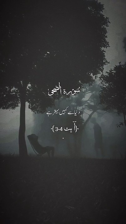 Janu pr zaydati