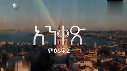 Ankes 29_2024-11-20_20-02-17