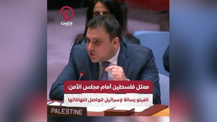 ممثل فلسطين أمام مجلس الأمن: الفيتو رسالة لإسرائيل لتواصل انتهاكاتها