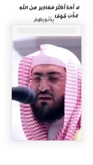 وما ظلمناهم ولكن كانوا أنفسهم يظلمون