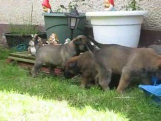 2 è sortie des BB d'Athéna et De S'Léon à 26 jours