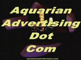 HOW TO OFFER A MONEY-BACK GUARANTEE THAT WILL INCREASE SALES