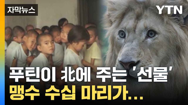 [자막뉴스] 北 국민에게 주는 것 ... 러, 전쟁 중에도 선물 공세 / YTN