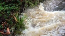 Brisbane sees coldest November day in 12 years as rain continues to fall across Queensland