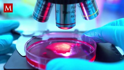 El riesgo de padecer cáncer de cabeza y cuello podría estar asociado a esto