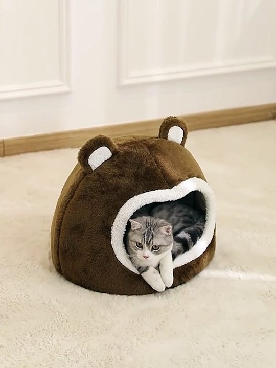Cute Cat Bed Warm Pet Basket Cozy Cat House Kitten Lounger Cushion Cat Tent Soft Cat Bed