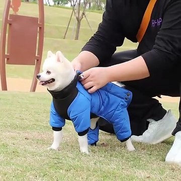 Waterproof Winter Dog Jacket - Cozy Cotton-Filled Pet Apparel for Small to Medium Breeds, Snap Closure Small Dog Waterproof Winter Coats