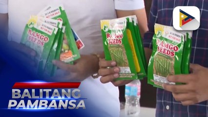 Local production ng mga agricultural seed, palalakasin