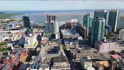 AUTOMOTIVE DEALERS ON FOREX CRISIS