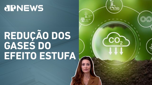 Regulamentação do mercado de carbono no Brasil é aprovada na Câmara; Patrícia Costa analisa