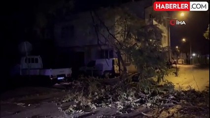 Bursa'da Şiddetli Rüzgar Ağaçı Devirdi, Yol Kapandı