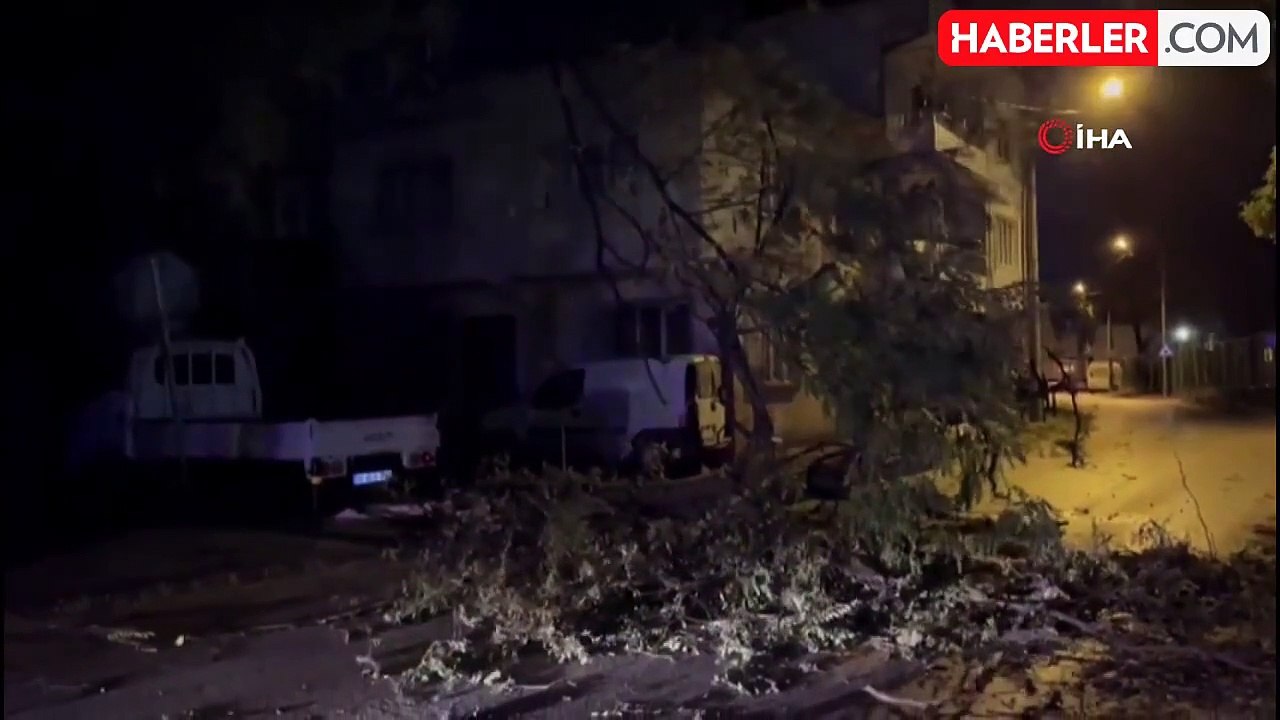 Bursa'da Şiddetli Rüzgar Ağaçı Devirdi, Yol Kap...