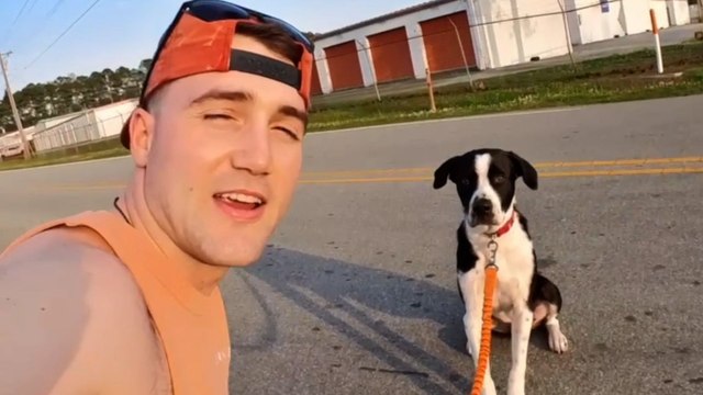 Man Magically Gets Every Shelter Dog Adopted