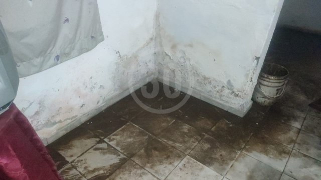 Denuncia Ciudadana: Adulto mayor vive en condiciones deplorables en Campo Valdés