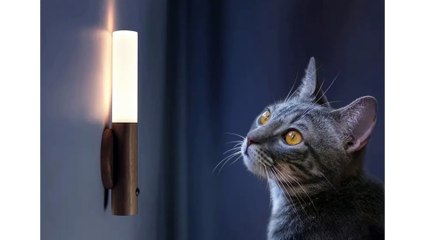 Rechargeable Motion Sensor Night Lights, Wooden Wall Sconce, Battery Powered Cabinet Lights 2024