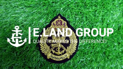 Embroidery Badges, Royal Air Force Of Oman Cap Badge,  Pakistan gold wire badges