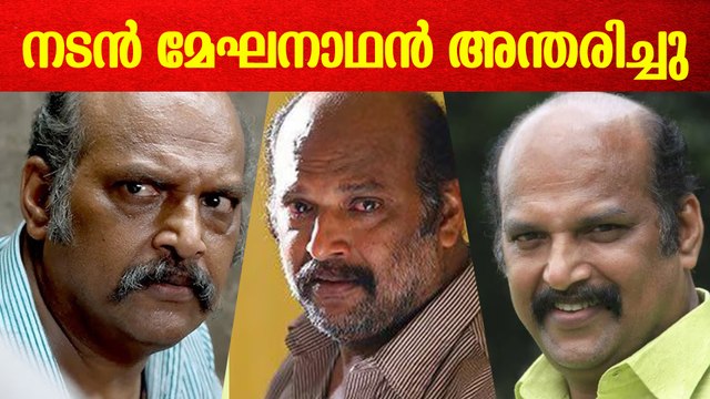 അവസാന കാലങ്ങളിലെ ശ്രദ്ധനേടിയിരുന്ന നല്ല വേഷങ്ങൾ | Actor Meghanathan Passed Away