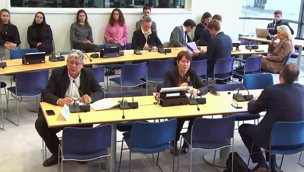 Commission des affaires européennes : Rapport de M. Mario Draghi, relatif aux moyens de renforcer la compétitivité européenne - Mercredi 20 novembre 2024