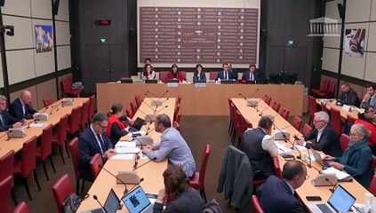 Commission des affaires économiques : Blocage des prix de l’énergie dans l’hexagone et les outre-mer - Mercredi 20 novembre 2024