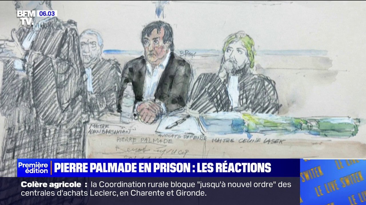 "Aucun jugement ne sera à la hauteur": Pierre Palmade condamné à cinq ans de prison dont deux ans ferme