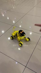 Chinese TikTok-DIY Magic: Create Something Amazing