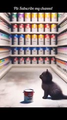Cat has working in shop _catlover _meow _virlshorts _aicartoonacting _youtubeshorts _shop _working(360P)