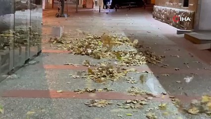 Bursa\'yı lodos ve fırtına vurdu: Seferler iptal!