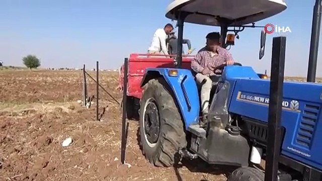 Mardin’de fıstık ağaçları toprakla buluştu