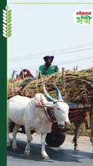 उसाच्या FRP मधून हे पैसे होणार वजा_1