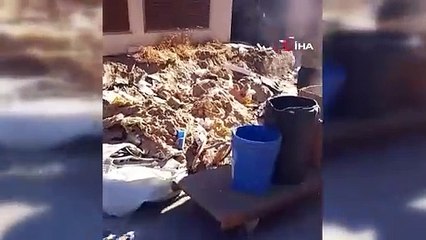 Bursa\'dan örnek davranış! Çevreyi kirletenlere ceza yağdı