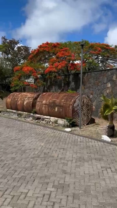 LE JOLI PARC du Golf de Mont Choisy