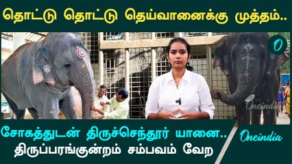Tiruchendur Elephant Issue | திருப்பரங்குன்றம் சம்பவம் வேற | Oneindia Tamil