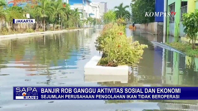 Potret Pekerja Pengolahan Ikan Terjang Banjir Rob Muara Angke Masuk Pelabuhan