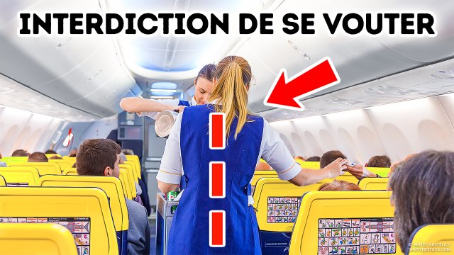 101 faits aléatoires pour nourrir votre cerveau