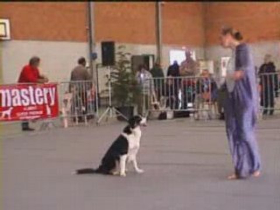 Woolie cahors 2008