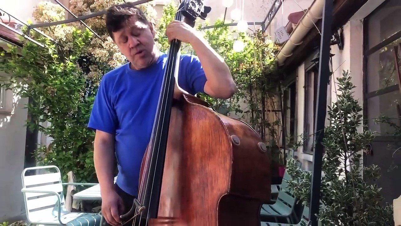 Sarabande  Bach Violin Partita No. 2 in D Minor, BWV 1004  (Mauricio ROMERO)