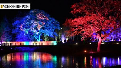 First look at RHS Glow Winter Illuminations at Harlow Carr