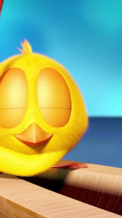 Dust _chicky _ Chicky Cartoon in English for Kids(720P_HD)