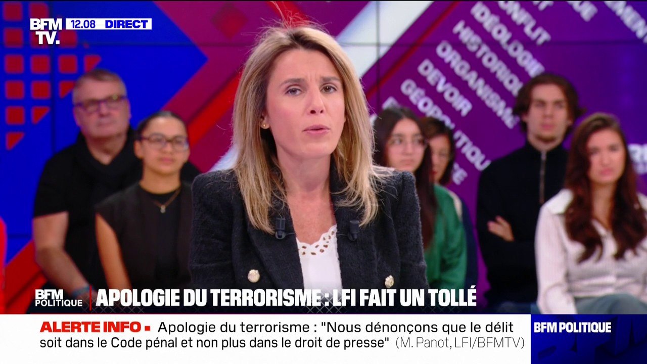 Abrogation du délit d'apologie du terrorisme: "Ça n'a rien à voir avec nos intérêts personnels", assure Mathilde Panot (LFI)