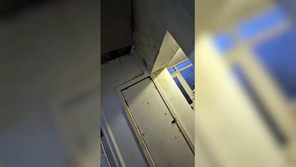 Boldon mum’s nightmare as house is 'constantly flooded' due to woodworm repairs