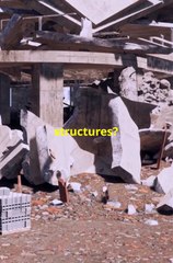 What if earth loses it's oxygen?