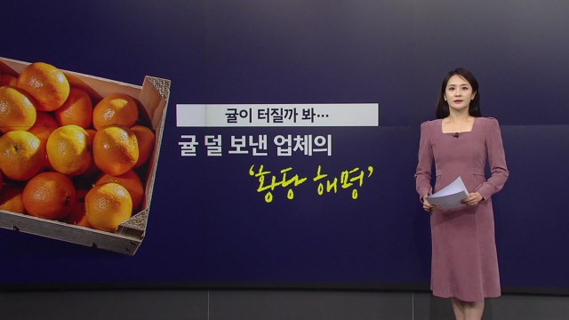귤 터질까 봐 뺐다 ...0.5㎏ 덜 보낸 업체의 '황당 해명' [앵커리포트] / YTN