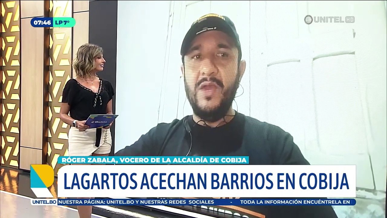 Lagartos rondan por zonas urbanas de Cobija tras el colapso de las alcantarillas producto de las intensas lluvias