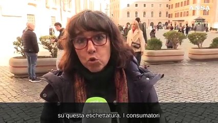 Allevamenti, Ciwf: "Chiediamo l'etichettatura che segnali l'assenza di gabbie"