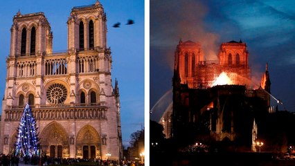 París: Así quedó restaurada en su totalidad la Catedral de Notre Dame
