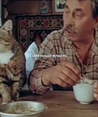 Избаловала тебя Советская власть! Прежде вас, котов, и вовсе не кормили, сами себе мышей добывали!...
