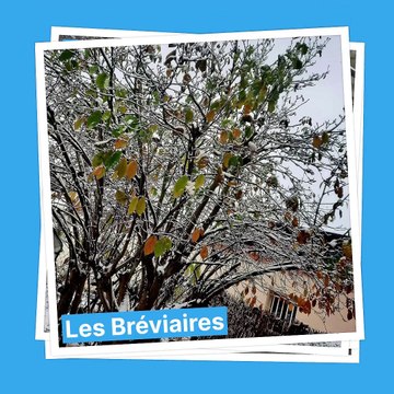 Les Yvelines sous la neige, c'est magnifique !